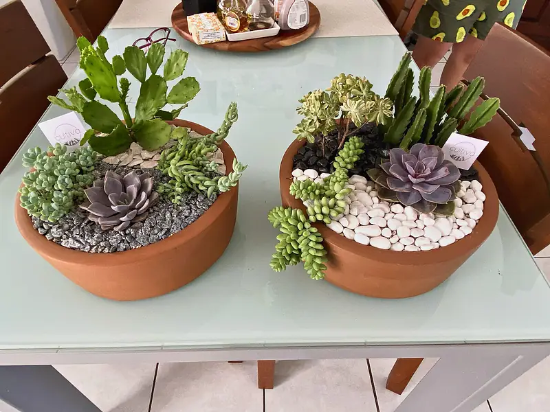 Foto de catálogo de Cultiva: Arreglo gigante