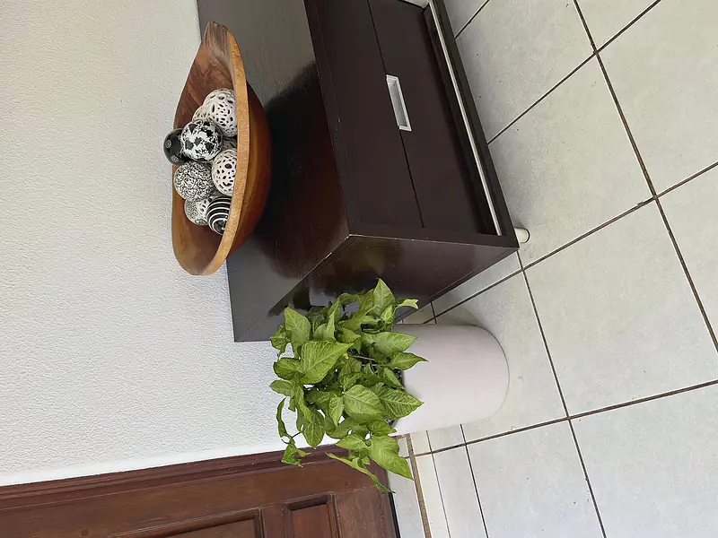 Foto de catálogo de Cultiva: Macetera mediana