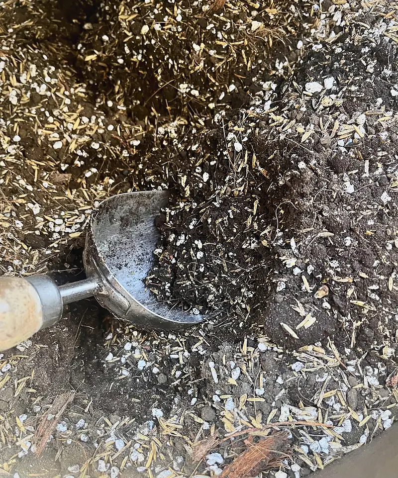 Foto de catálogo de Cultiva: Sustrato Mejorado