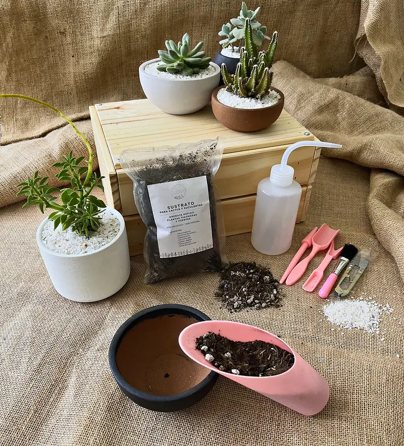 Kit de jardinería de Cultiva: sustrato, herramientas, rociador, macetas y suculentas